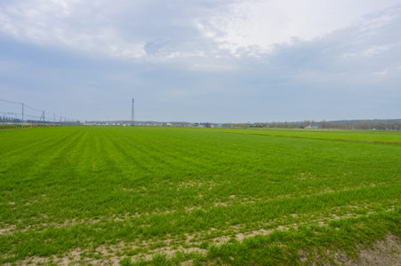 View by area only, business example of drone (Hokkaido version)